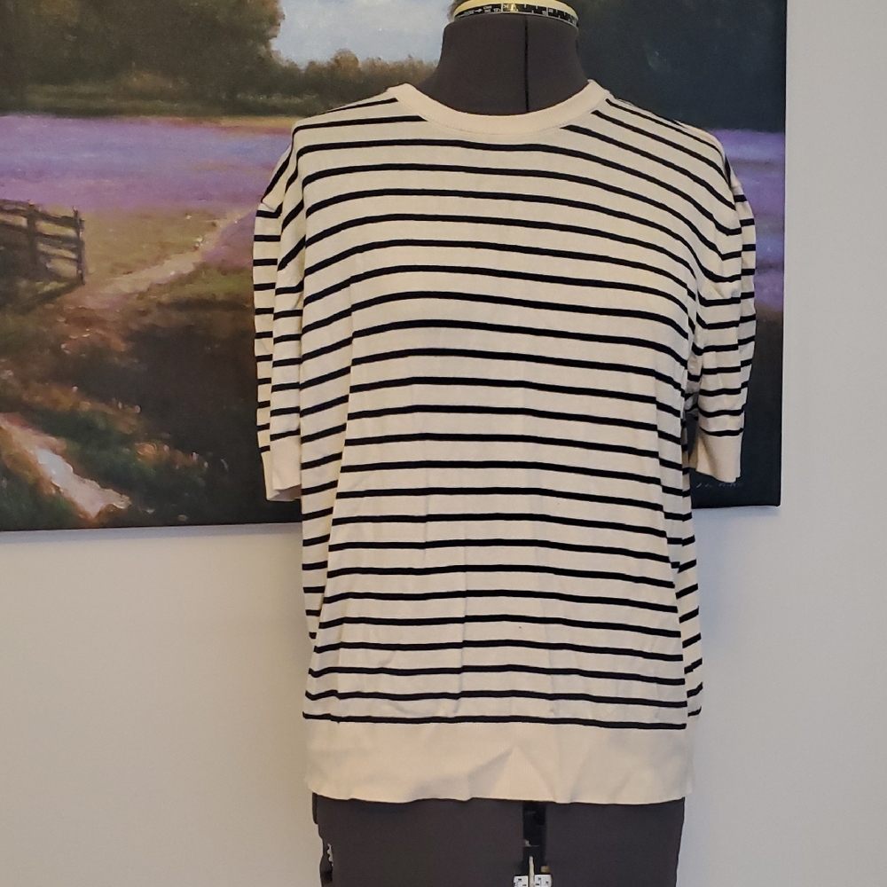 Zara Black and White Striped Sweater